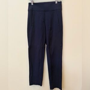 Aritzia Babaton Blue Pants